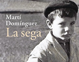 Martí Domínguez
